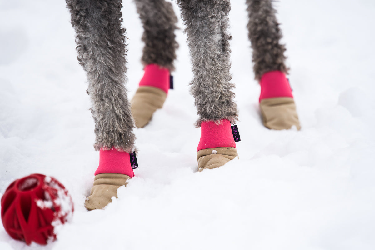 The Ultimate Winter Dog Booties for Outdoor Fun – Rocky Mountain