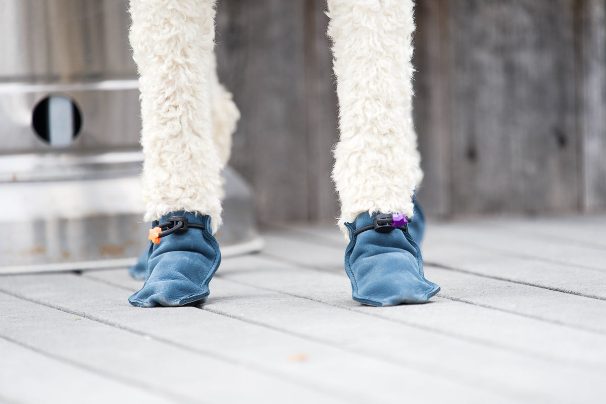 The Lariat Cinch Dog Boots