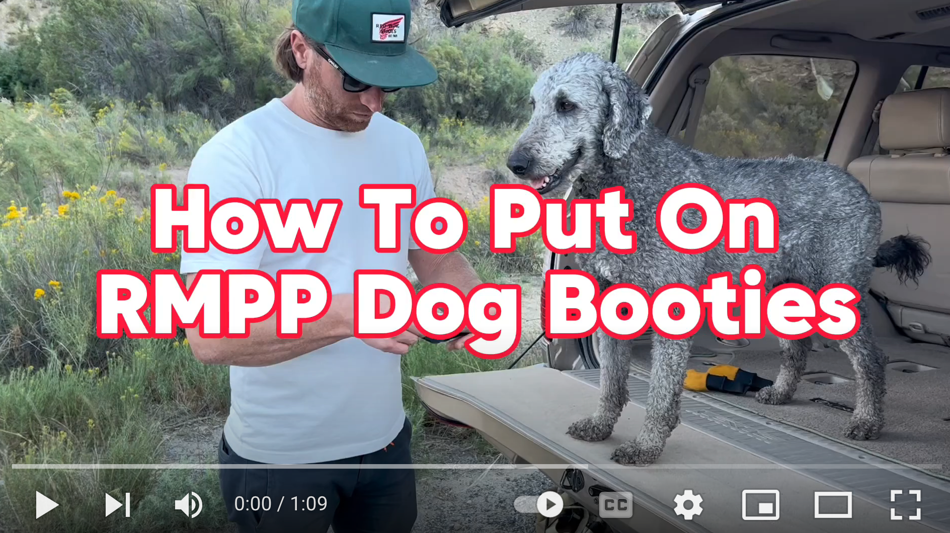 Load video: How To Put On RMPP Dog Booties Video Demo